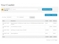 Smart E-wallet System